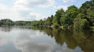 Parc Tilgate